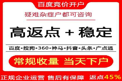 案例分析：百度推广成功案例解析